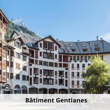 L'aiguille - Maeva - 2 Pieces 5 Personnes - Selection Mae-4175 Apartament
